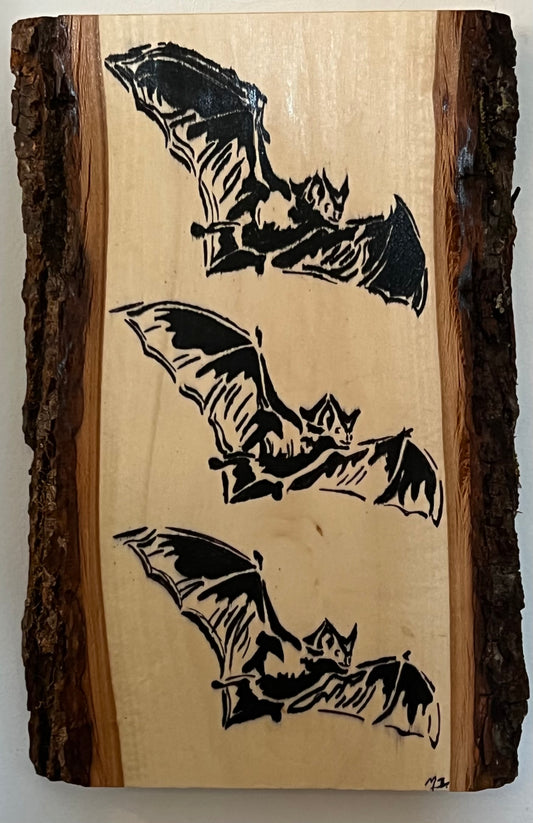 Three Bats Oil Paint Pen on Board